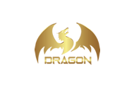 Dragon Design LLC Logo